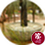 Rockery stone used as planter base<br>Chelsea Flower Show
